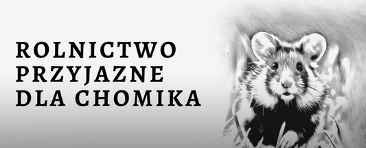 Wskaźnik zdrowego środowiska - przyjazny rolnikom chomik europejski