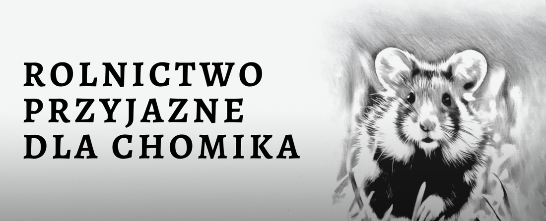 Wskaźnik zdrowego środowiska - przyjazny rolnikom chomik europejski