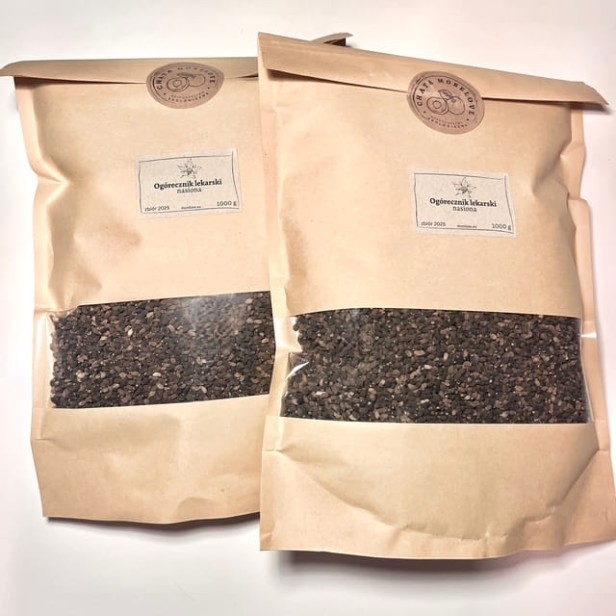 ogorecznik lekarski Chata Morelove.JPEG