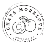 morelove logo - strona główna